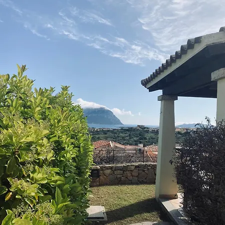 Con Vista