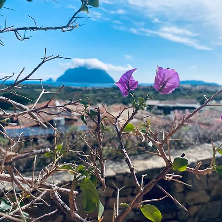 Con Vista *