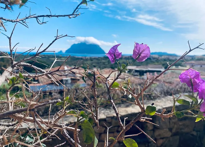 Con Vista *