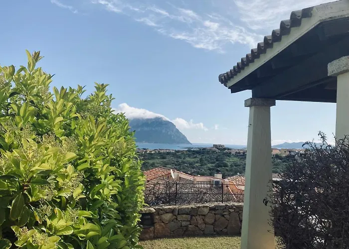 Con Vista